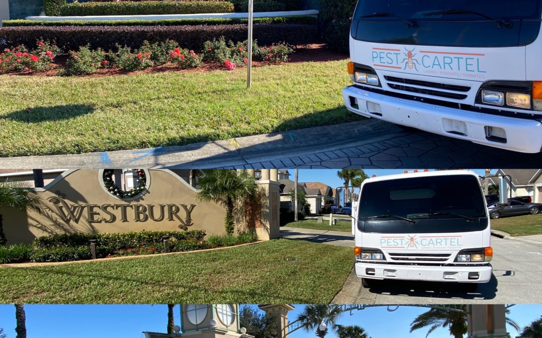 The Pest Cartel: Now Serving ChampionsGate Davenport Florida for Indoor Pest Control Services