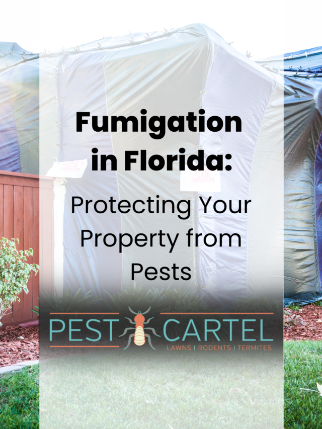 Fumigation in Florida: Protecting your Property from Pests