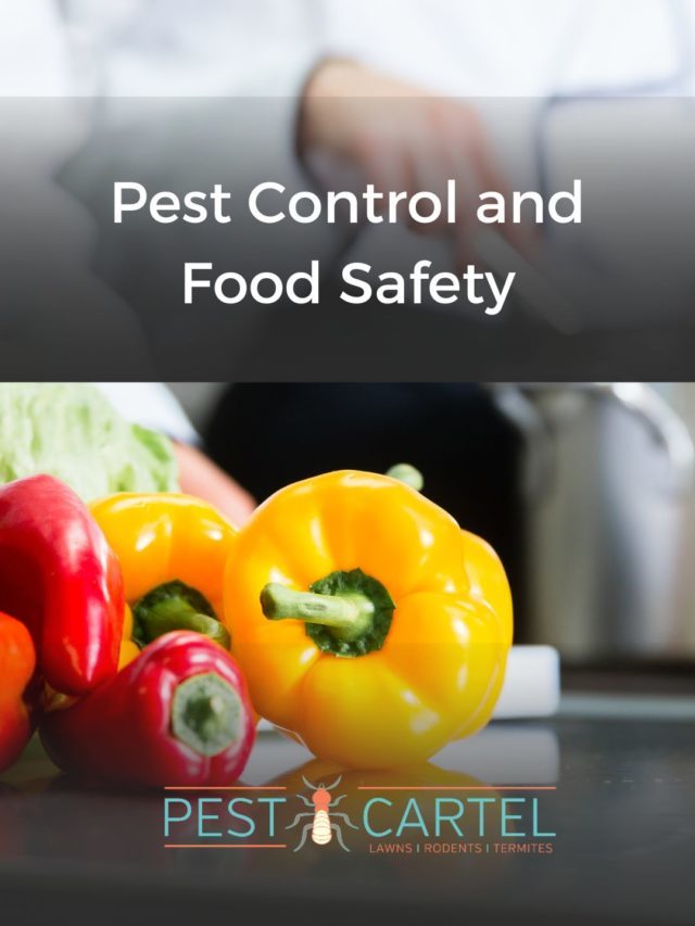 Pest Control and Food Safety