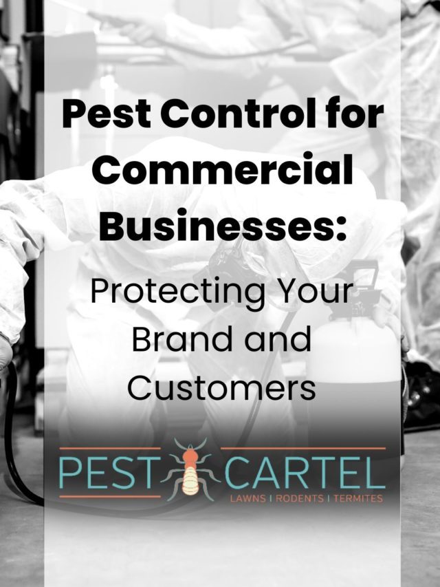 Pest Control for Commercial Businesses