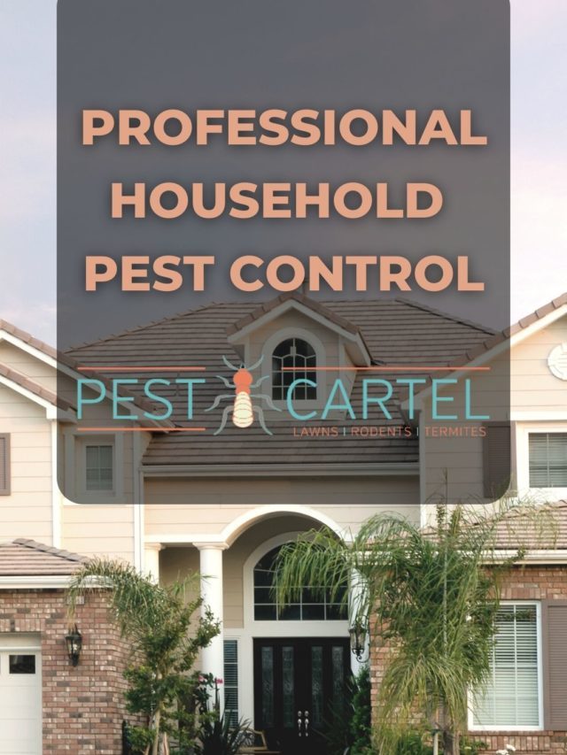Professional Household Pest Control